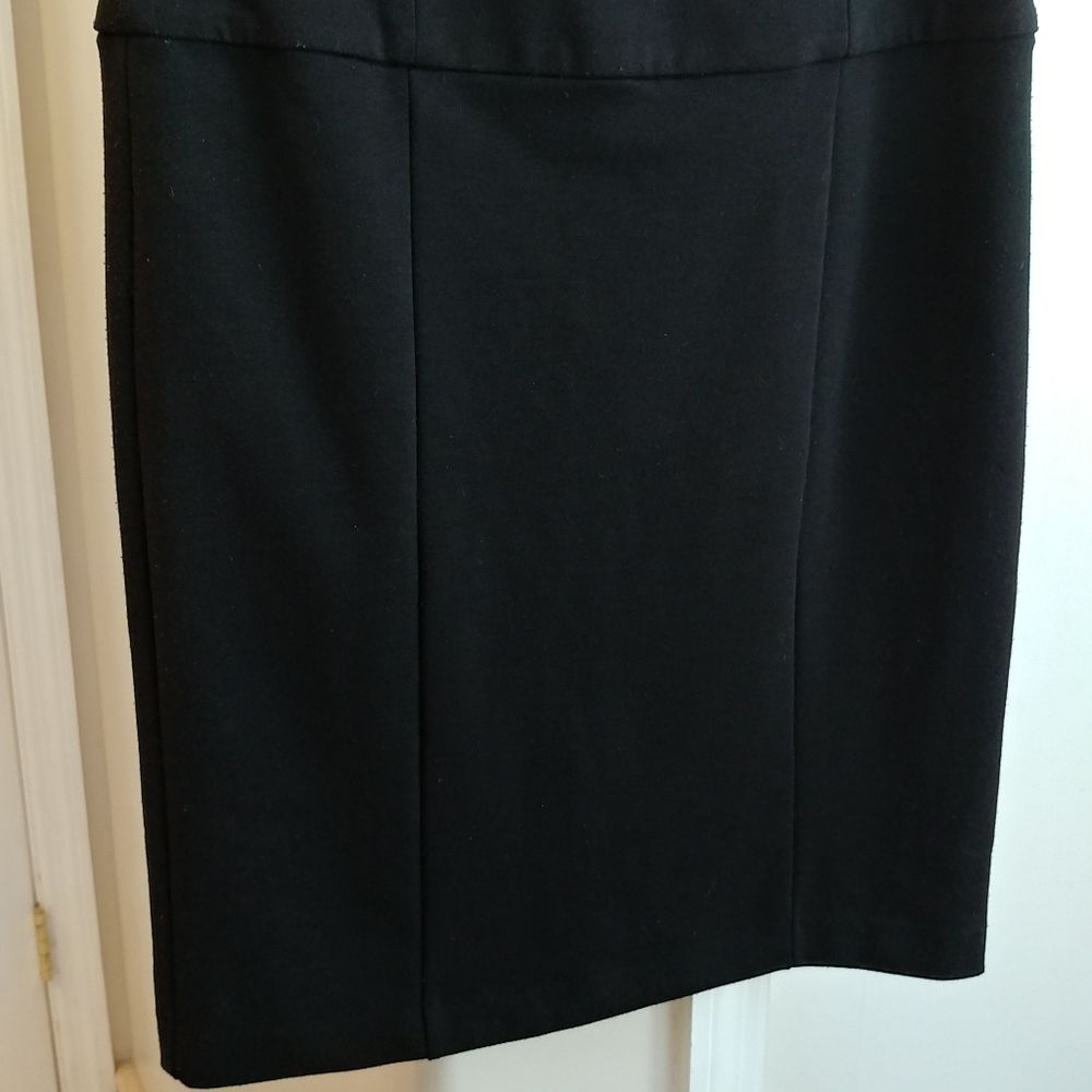 Sunny Leigh Petite Black Skirt